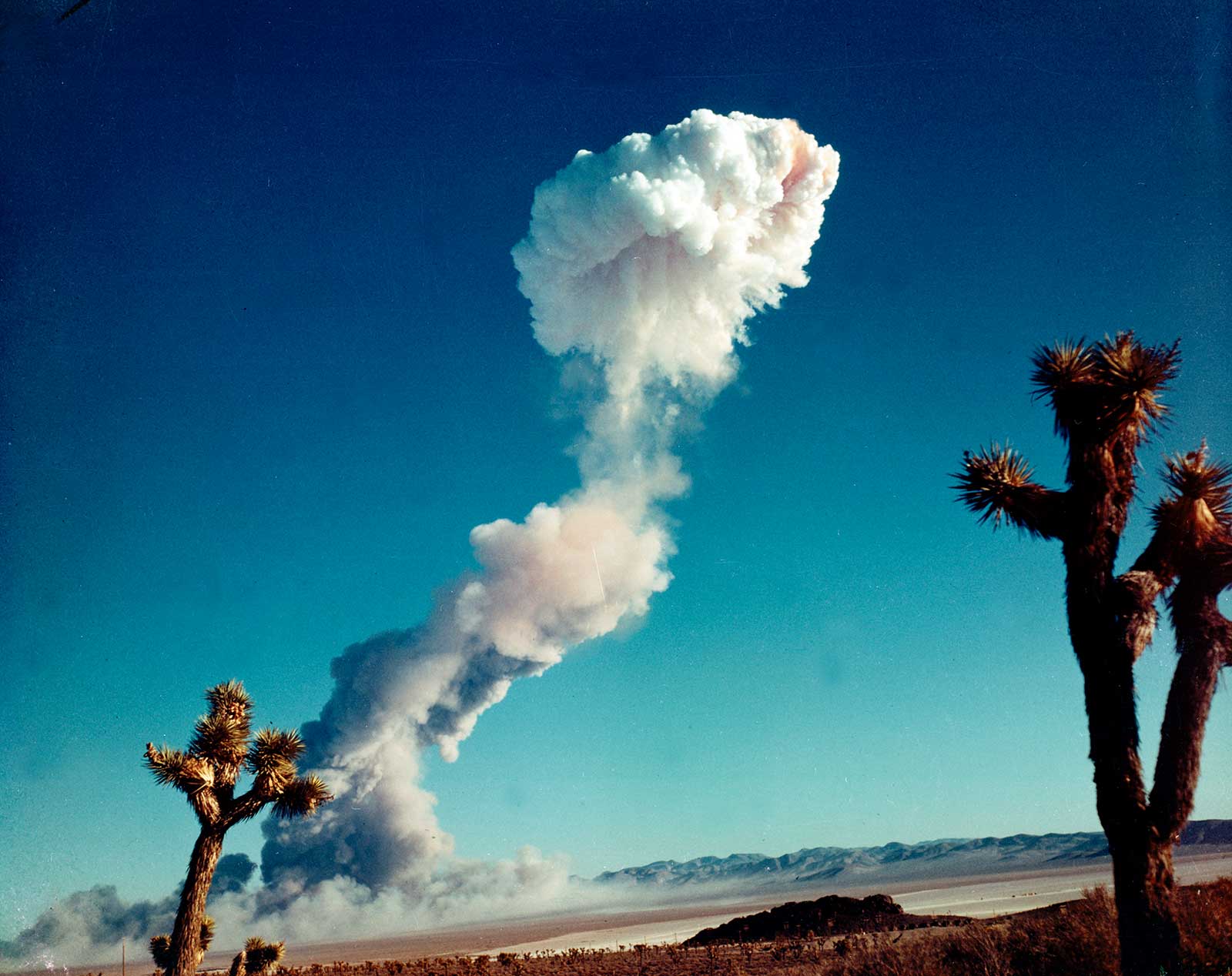 Norul de ciuperci care se formeaza la locul de testare din Nevada.